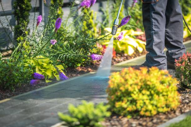 Trusted Red Bud, IL Pressure Washing Services Experts