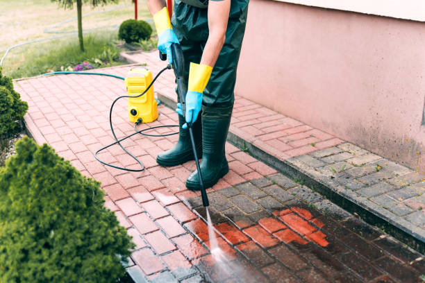 Best Paint Preparation  in Red Bud, IL